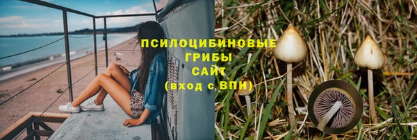 СК Абинск