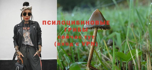 MESCALINE Алзамай