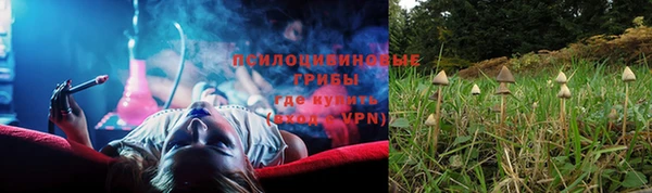 не бодяженный Алексин