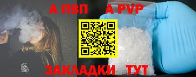 индика Кингисепп