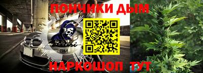 индика Кингисепп