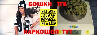 индика Кингисепп