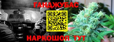 индика Кингисепп