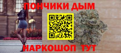 индика Кингисепп