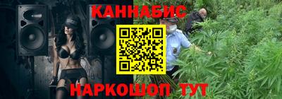 индика Кингисепп