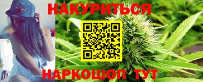 индика Кингисепп