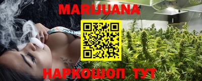 индика Кингисепп