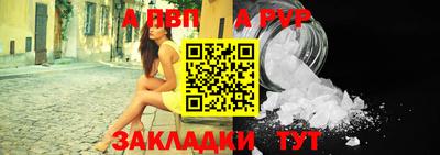 индика Кингисепп