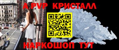 индика Кингисепп
