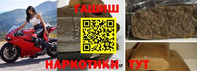 индика Кингисепп