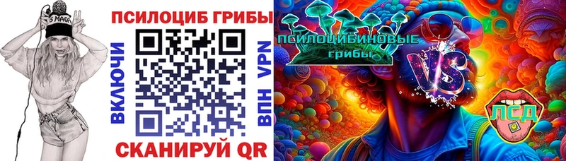 Галлюциногенные грибы Cubensis Новоалтайск