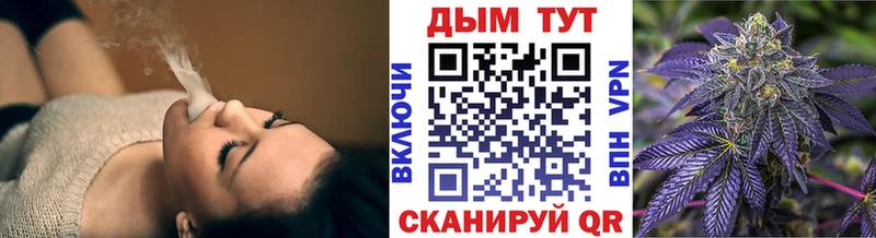 Канабис планчик  закладки  Новоалтайск 
